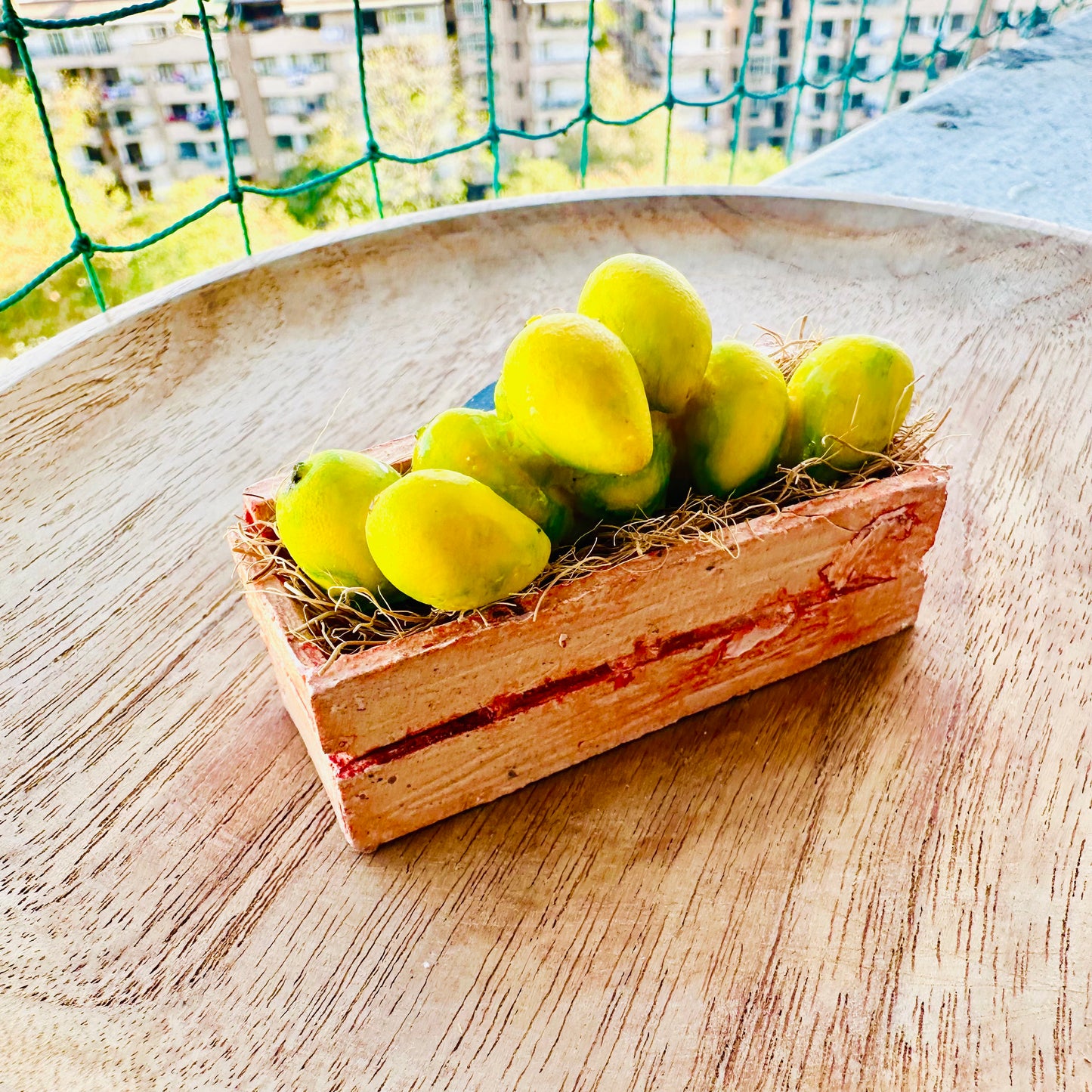 Mango Fridge Magnet - Khasiyat