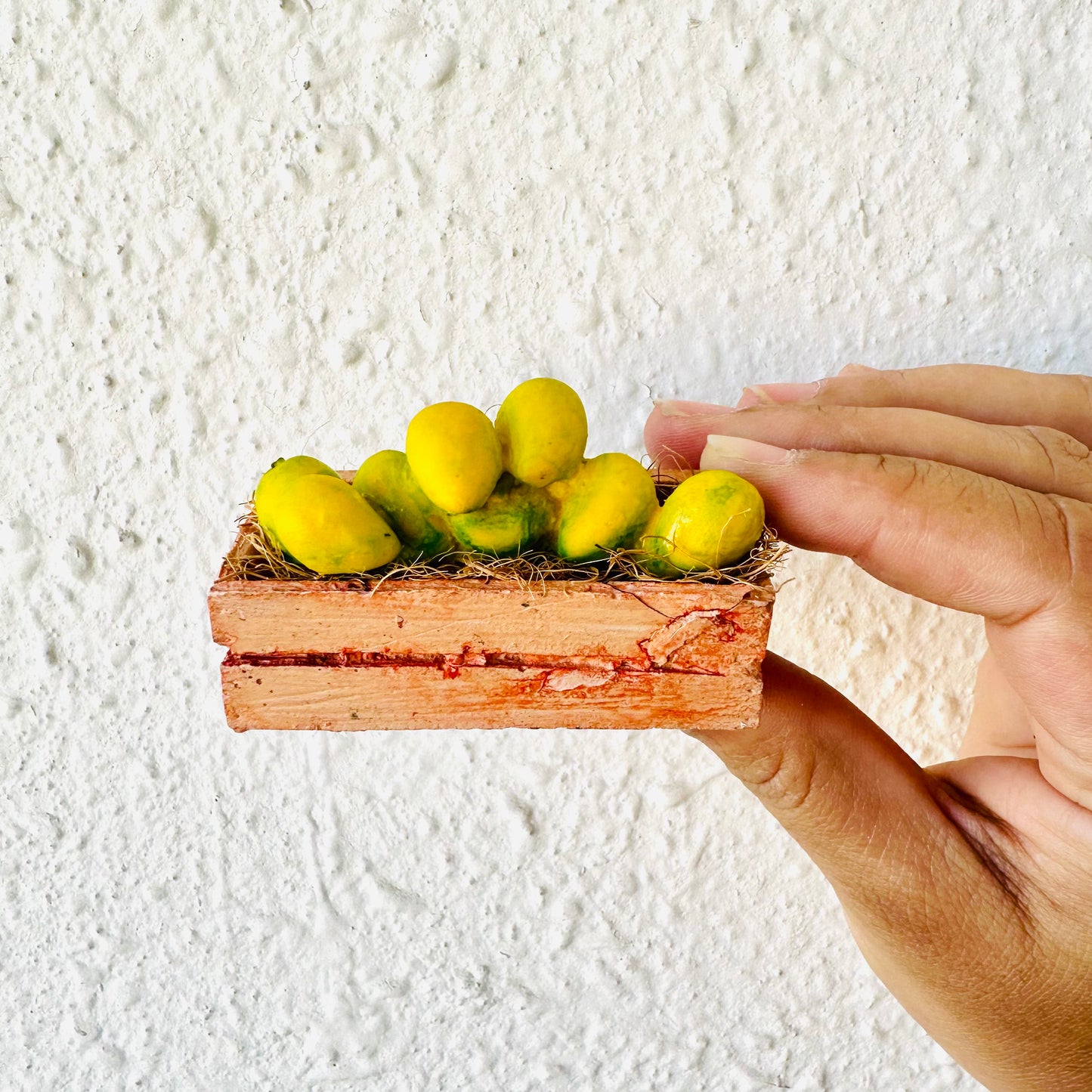 Mango Fridge Magnet - Khasiyat